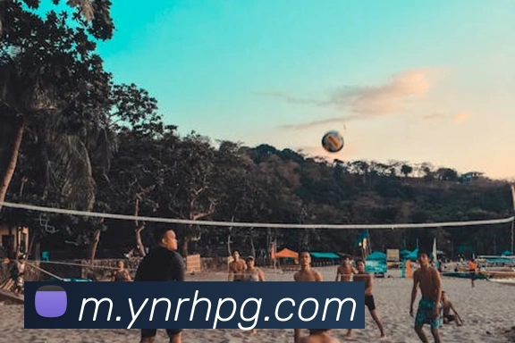 App Interface Preview